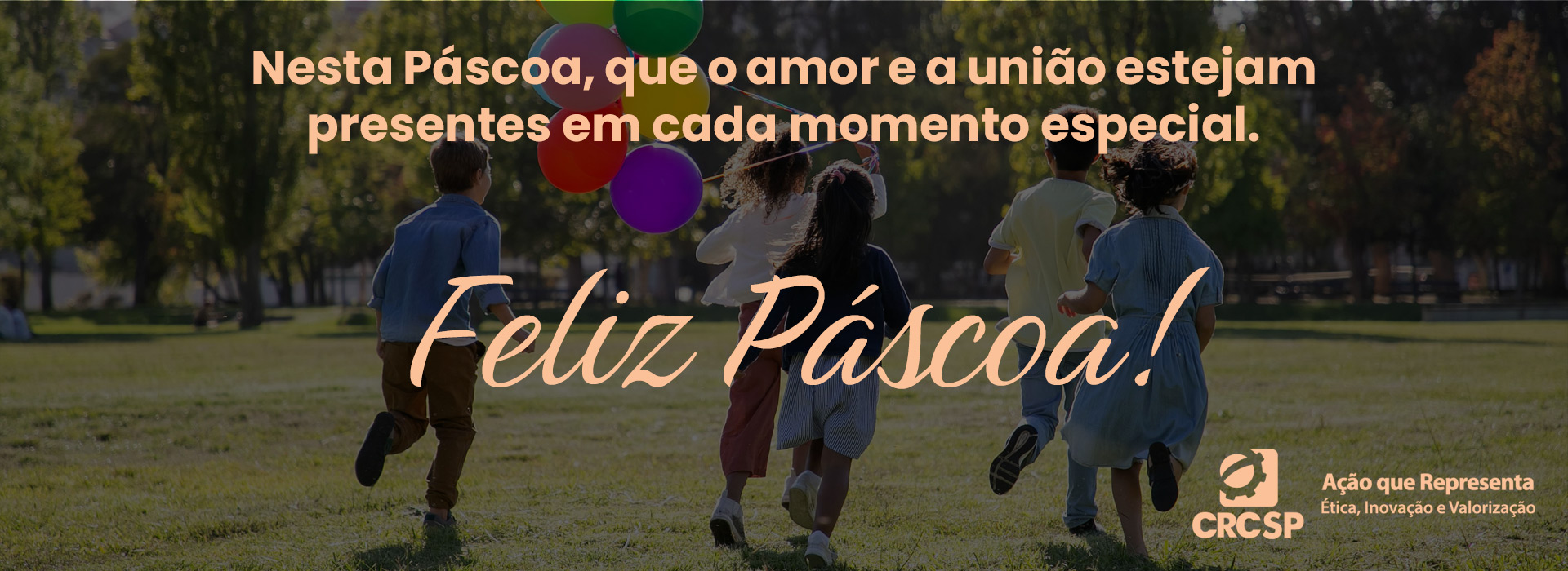 Registro profissional